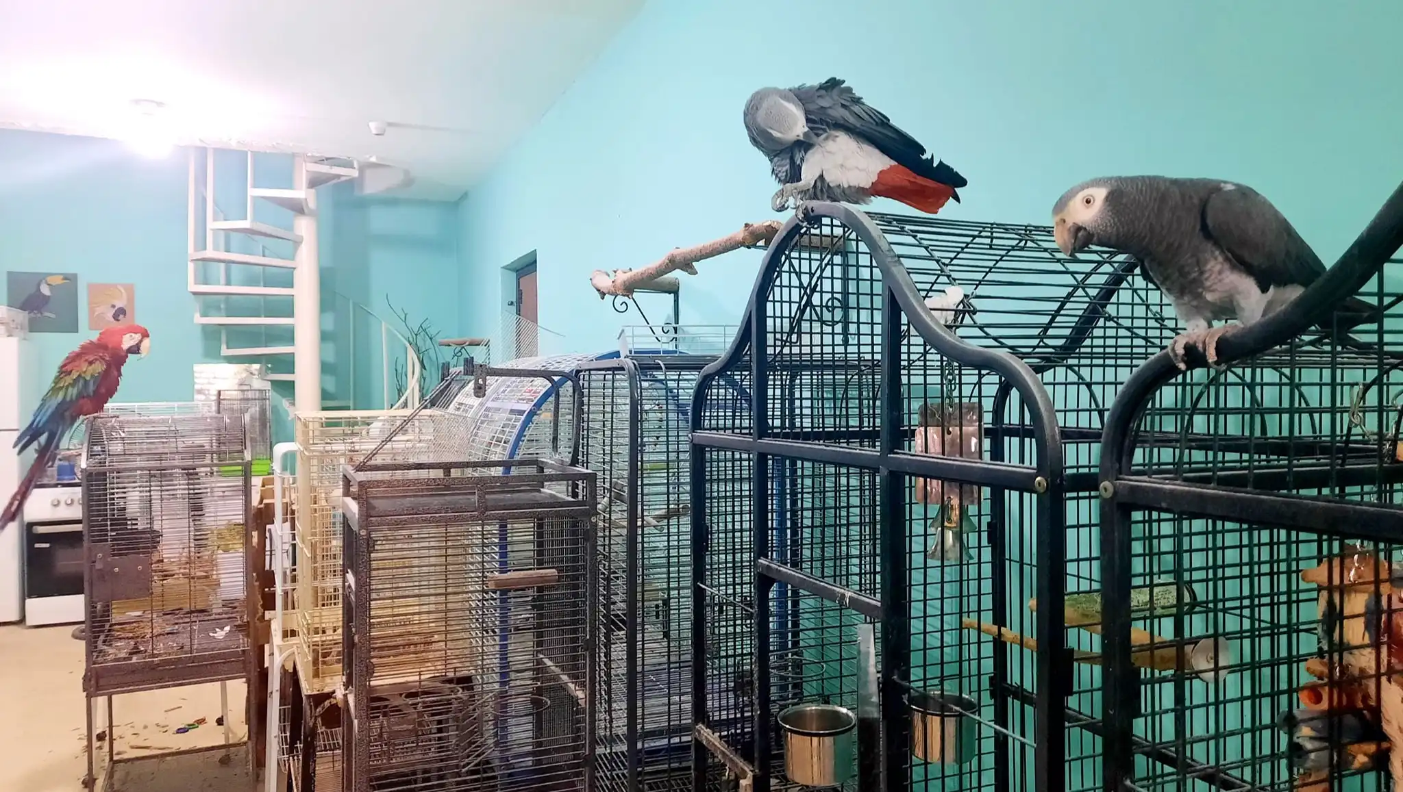 Shelter Picture